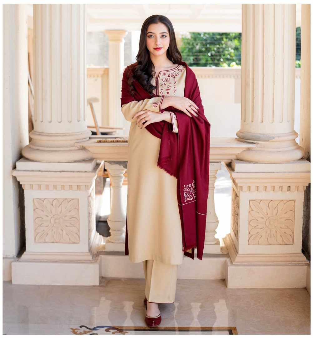 A Sling Airjet Dhanak 3PC Embroidered Winter Suit with Pashmina
